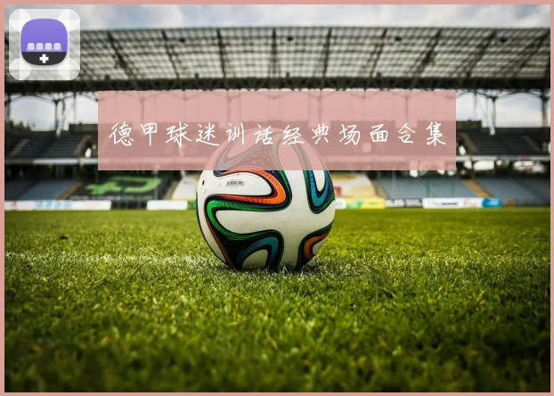 德甲球迷训话经典场面合集