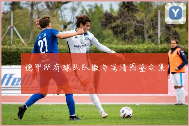 德甲所有球队队徽与高清图鉴合集